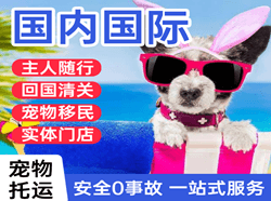 东郊航空托运国际宠物托运 【国